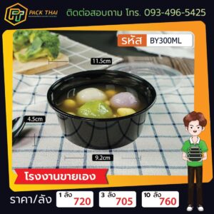 BY300ML